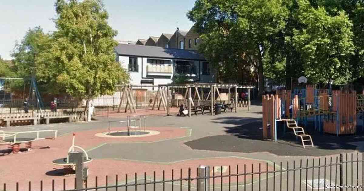 Boy's skull visible through wound after playground climbing frame 'snaps in two'