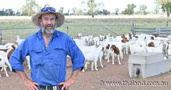 Goat producer issues a call to arms for industry to increase the levy