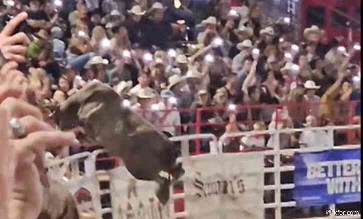 'Party Bus' the bull banned from competing after jumping into Oregon crowd