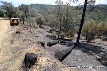 Des travaux de débroussaillage sont-ils à l'origine du feu de Vidauban, qui a parcouru 600 hectares?