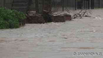 Curanilahue: Alcaldesa calcula hasta 1.200 casas inundadas, algunas con agua hasta el techo