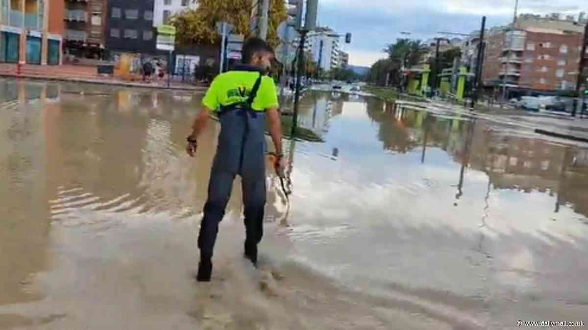 Emergency crews in Spain's Costa Blanca launch operation to rescue people trapped in their cars as floods hit region popular with British holidaymakers causing chaos with roads blocked and homes ruined