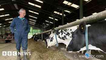 Dairy farmers owed £1.6m unlikely to be repaid