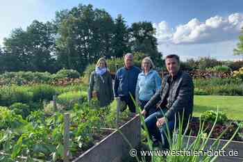 Mehr als Tulpen und Tomaten: Ein Blumenmeer in Anreppen