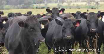 Here's what will hold cattle prices up as bigger supply comes online