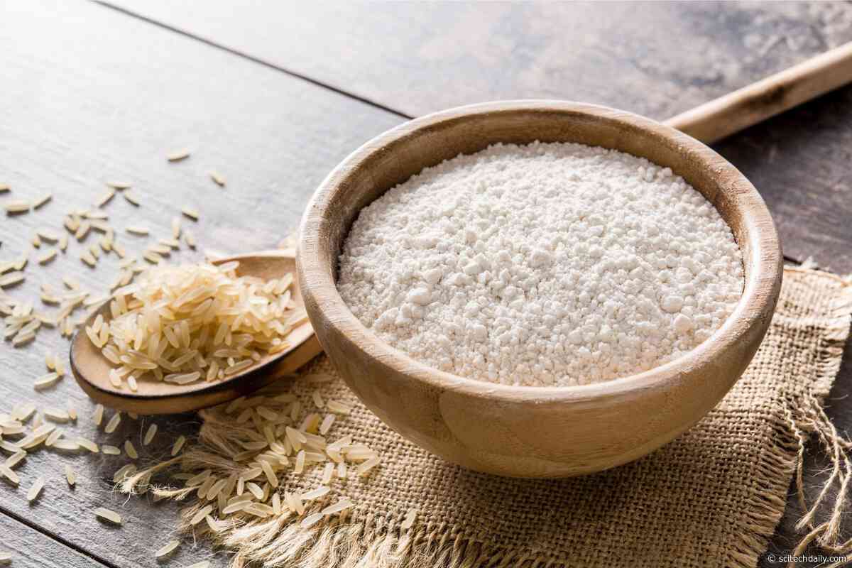 The Hidden Risks of Rice and Flour: Brazilian Study Uncovers Alarming Mycotoxin Levels in Everyday Foods