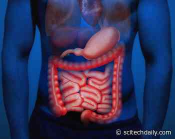 A New Biological Pathway: Major Cause of Inflammatory Bowel Disease Discovered