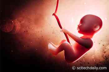 Troubling Consequences: Nanoparticles Found To Have Mysterious Effects on Unborn Children