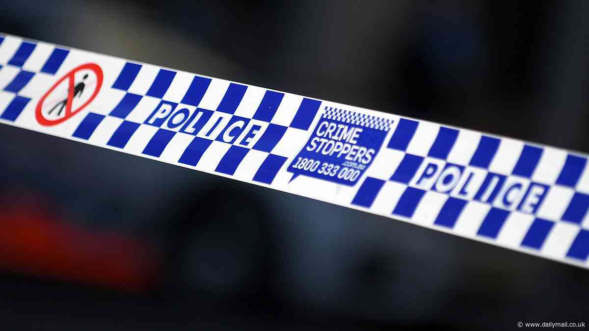 Two NSW police officers are charged with the assault of a 92-year-old man