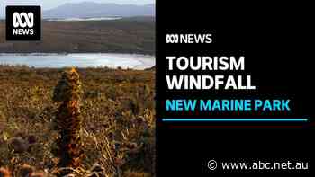 WA govt says the South Coast Marine Park will rival the Great Barrier Reef