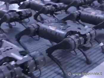 Cani robot con mitragliatrici, lanciarazzi e lanciafiamme: ecco l'esercito del futuro