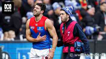 Season over for Melbourne star Christian Petracca