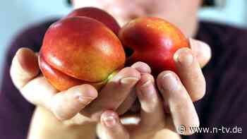 Süße Früchte im Öko-Test: In vielen Nektarinen stecken leider nicht nur Vitamine