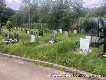 Hither Green Cemetery Lewisham: Grave conditions