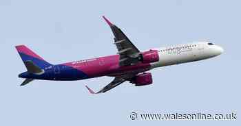 Which airlines have worst delay records as Wizz Air tops the table