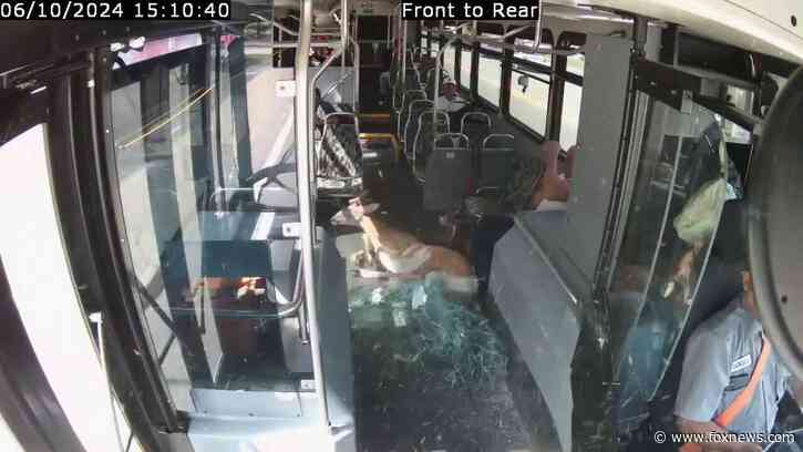Deer crashes through bus windshield while driver calmly continues his route in Rhode Island