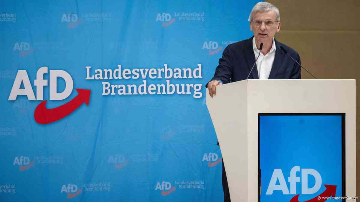Ist die AfD in Ostdeutschland auf dem Weg zur Volkspartei?