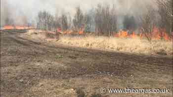 West Sussex fire and RSPB issue advice on preventing wildfires