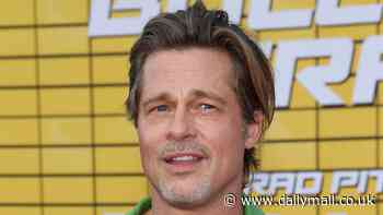 Brad Pitt 'objected to daughter Shiloh testifying about her custody preference' during Angelina Jolie divorce war... before teen dropped her dad's last name