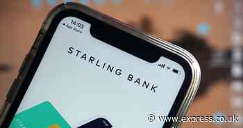 Starling pre-tax profits leap on higher interest rates