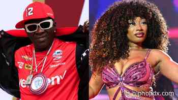 Flavor Flav Defends Megan Thee Stallion After AI Sex Tape: 'Leave This Queen Alone'
