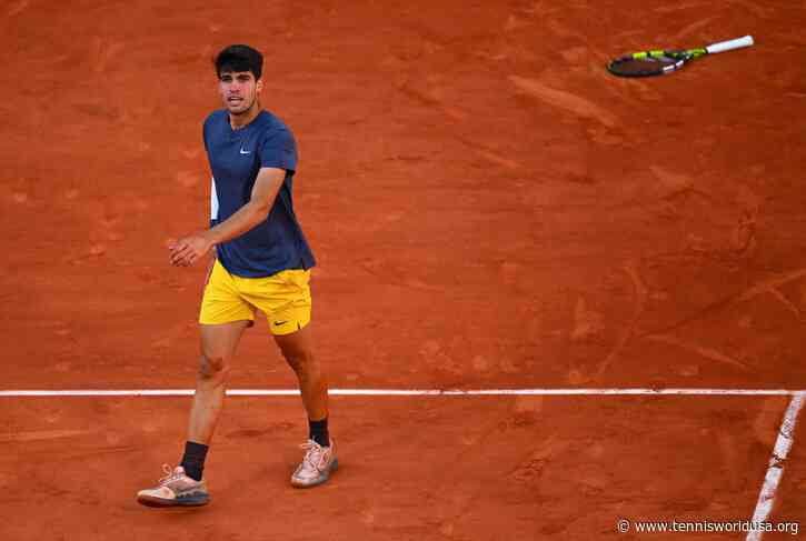 'Carlos Alcaraz doesn’t systematically make the best choice', says former ATP star