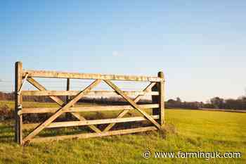 Tenant farmers urge next government to better support sector