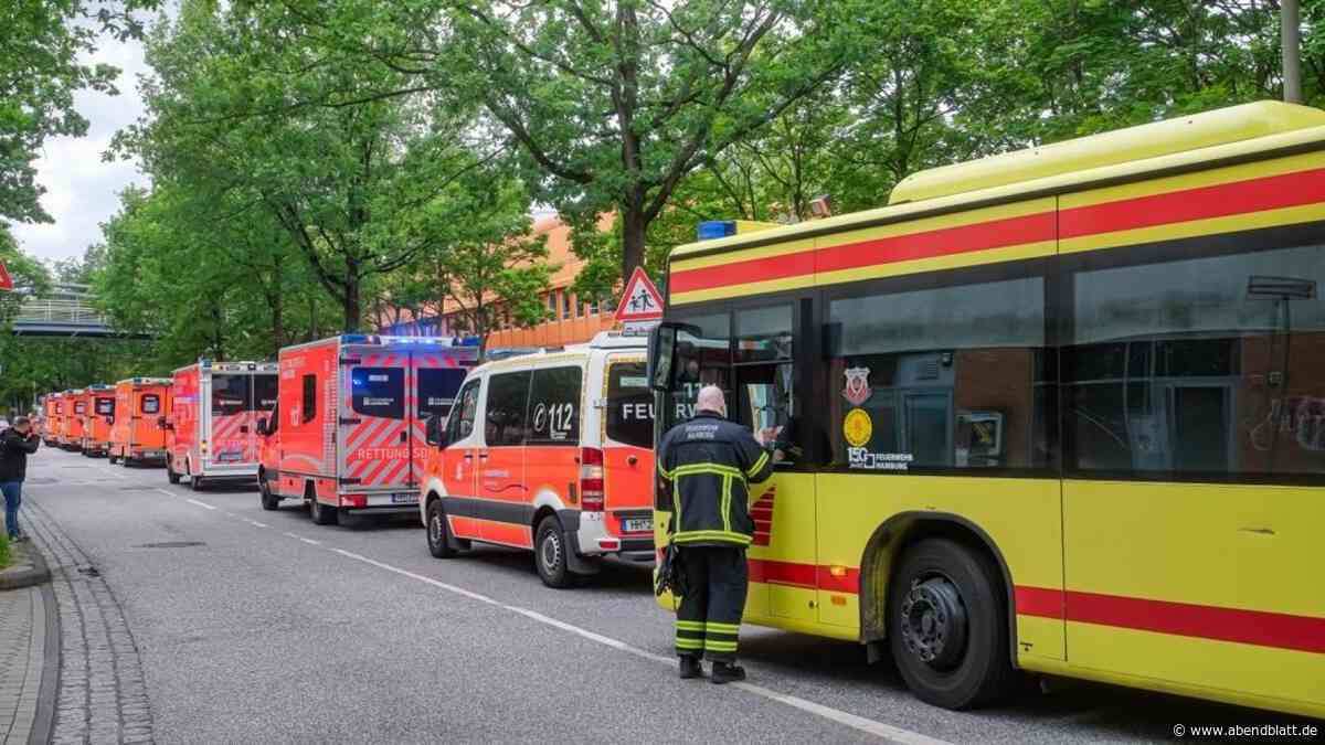 Großeinsatz: Reizgas-Angriff an Stadtteilschule Mümmelmannsberg