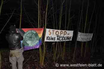 Angeklagter im Prozess um Demo gegen Abholzung in Vlotho freigesprochen