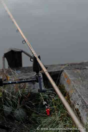 Angler fined for not having rod licence in Ringwood