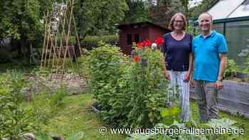 Ein Paradies für Insekten und Amphibien: Der Garten von Familie Stern