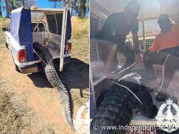 Villagers kill and eat giant crocodile which hunted their pets