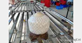 Vietnam breidt export kokosnoten en dragonfruit uit