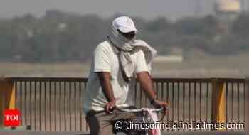 "Remain on lower floors": Govt releases heatwave advisory