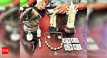 Arrest made in Kolkata for possession of ancient artefacts made from animal parts