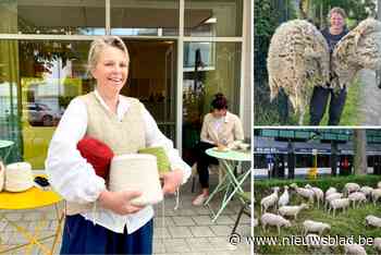 Iris (55) verkoopt wol van Gentse schapen, maar ook koffie en gebak: “Hier kan je even offline gaan”