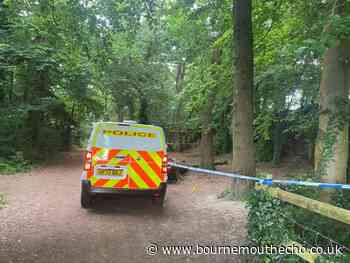 Police investigate reports of a rape  at Upton Country Park