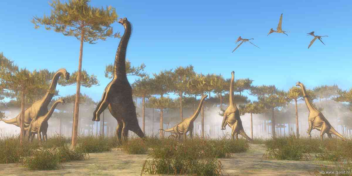 Reusachtige langnek: waarom werd de Brachiosaurus zo groot?