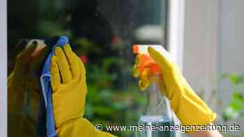 Fenster putzen mit Essig – Pollen und Kalkablagerungen streifenfrei entfernen