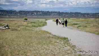 Conservationists and birders call out trampling of ecologically sensitive Surrey, B.C., park