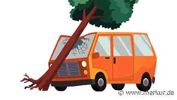 Verkehrsunfall in Bad Hindelang: Kleinbus prallt gegen Baum