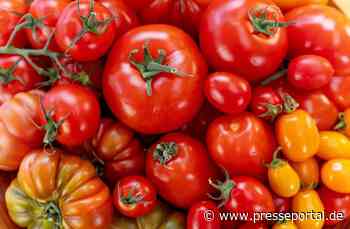 ZDF-Doku über das Lieblingsgemüse der Deutschen: "planet e.: Genuss mit Beigeschmack – Tomaten"
