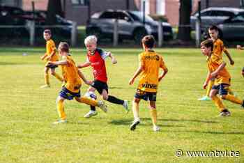 Voetbal Vlaanderen verhoogt bondsbijdragen, Limburgse clubs reageren misnoegd: “Ze communiceren te laat”