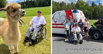 Bayreuth: Rollstuhlfahrer Tobias (32) vergisst auf Alpaka-Hof alle Sorgen - "unglaublich kuschelig"