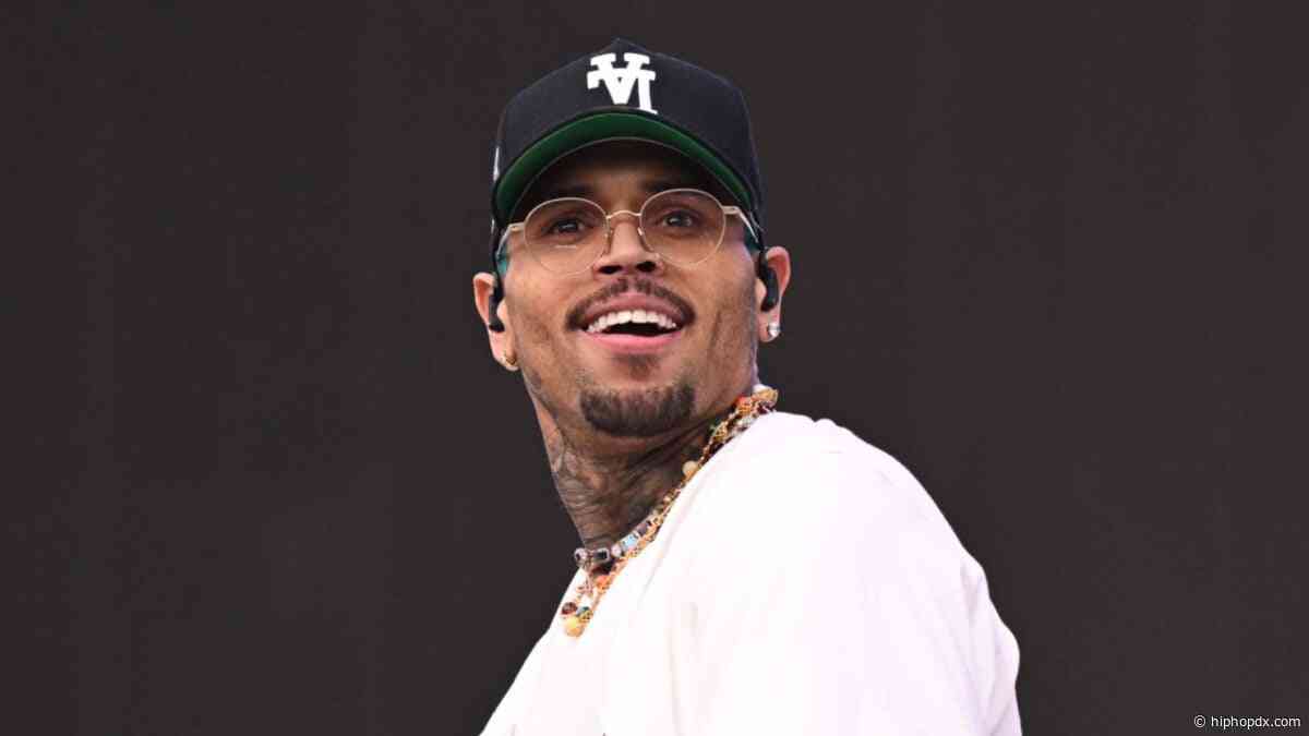 Chris Brown Gets Stuck In The Air During Show & Has To Be Rescued
