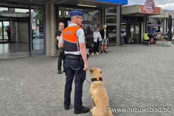 Drie pv’s uitgeschreven voor drugsbezit bij controleactie aan Truiens station