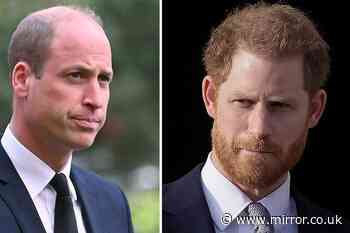 Prince William's shock three-word response to Prince Harry's plea for peace
