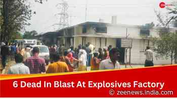 6 Dead, 3 Injured In Blast At Explosives Factory Near Nagpur