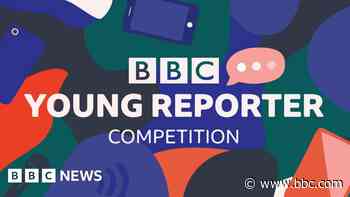 BBC Young Reporter Competition 2024: Winners revealed