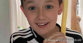 Boy hoping massive chip find is a world-beater